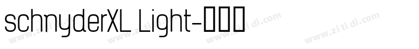 schnyderXL Light字体转换